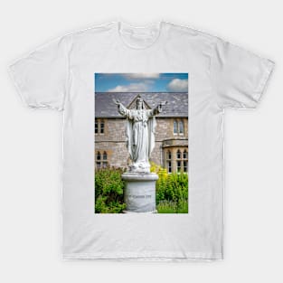 Statue of Christ T-Shirt